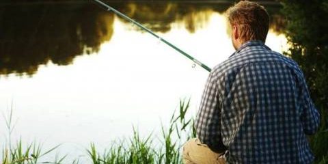 fish-1331930_960_720_0